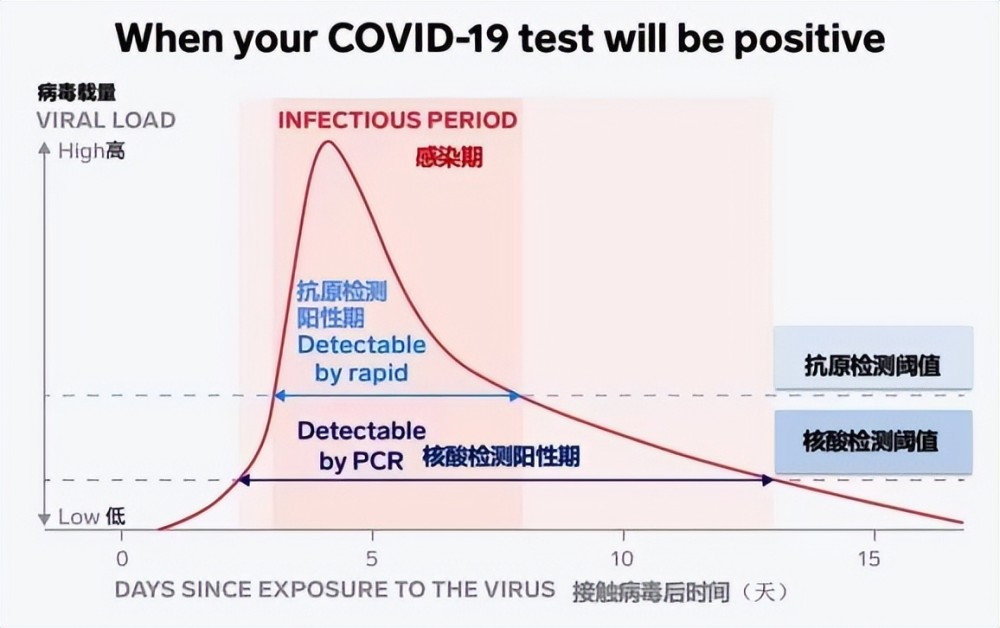 新冠陽了后，抗原需要天天做嗎？一看你就明白